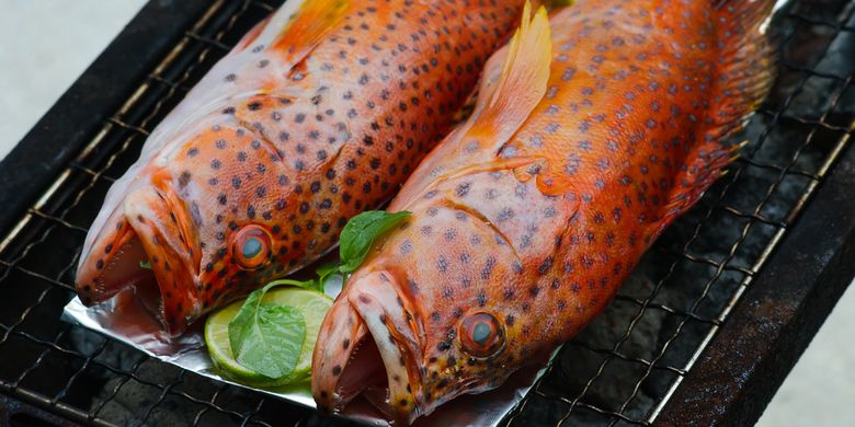 13 Jenis Ikan Air Payau yang Bagus Dikonsumsi dan Dipelihara