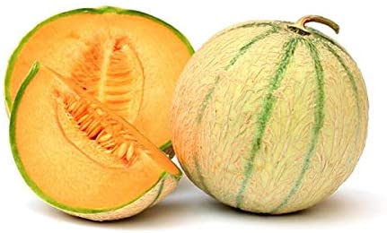 jenis melon