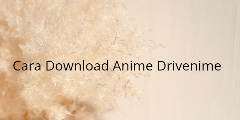 Cara Download Anime Drivenime yang Mudah dan Tidak Ribet