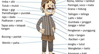 Definisi Bahasa Krama Mata & Contoh Penerapan Kalimatnya