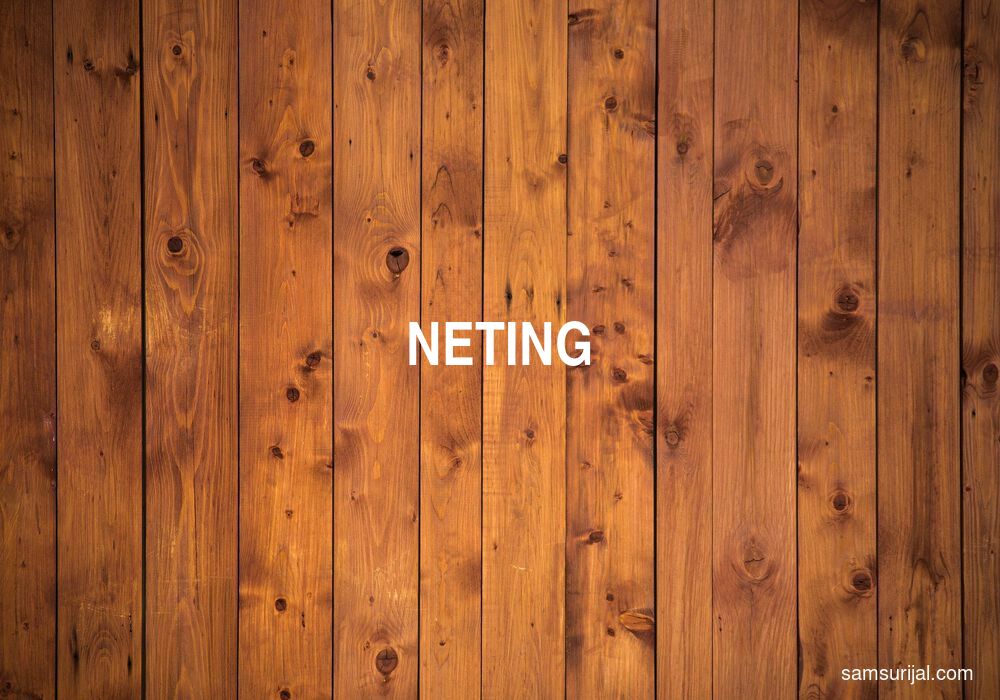Definisi Neting & Contoh Kalimat Neting